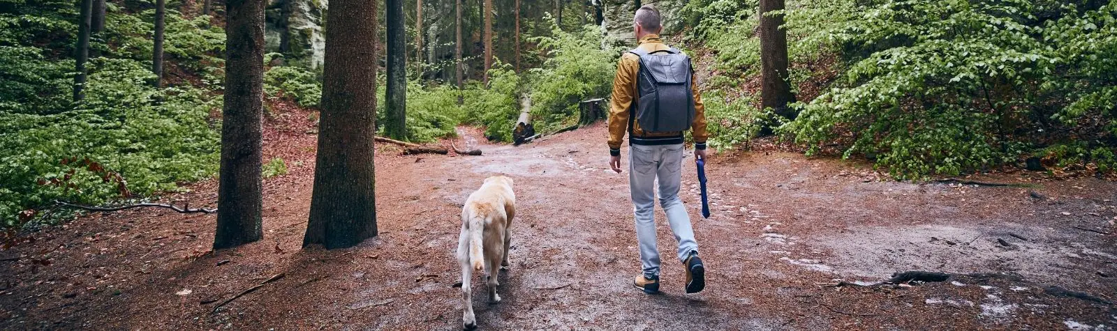The 10 Best Hiking Dogs