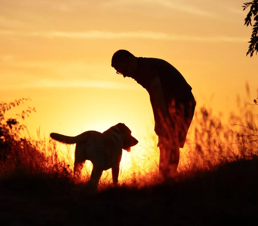 JayWanders - The 10 best hiking dogs - Man and his dog on a hike in the wild