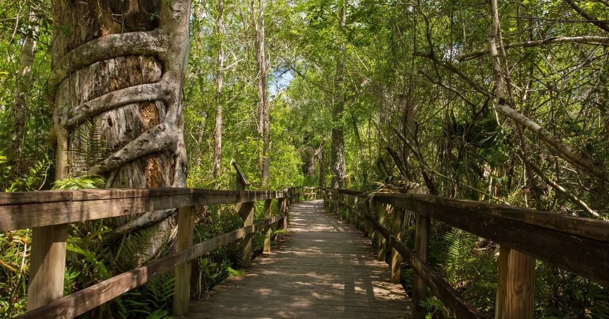Jay Wanders - best nature trails in florida
