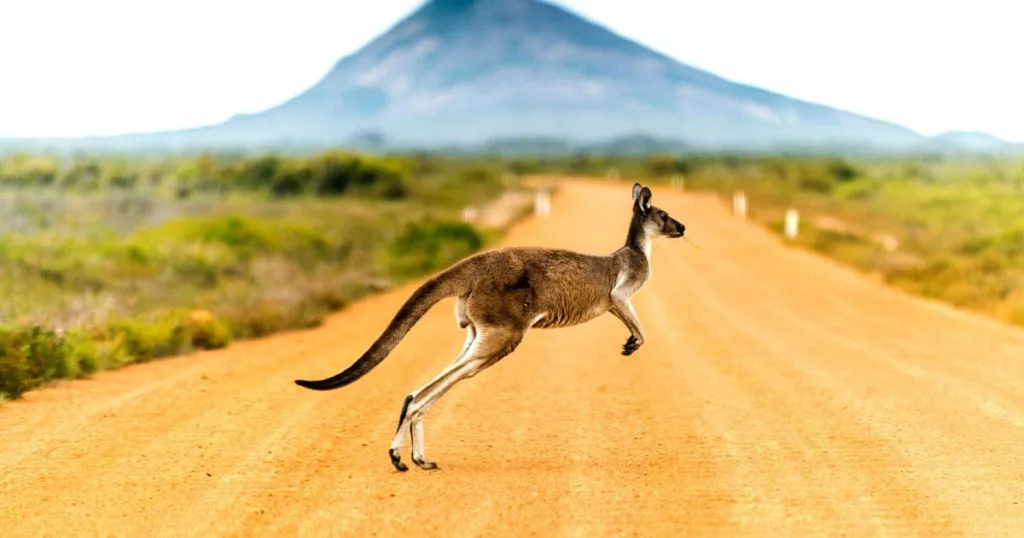 solo travel in australia tour group - Jay Wanders